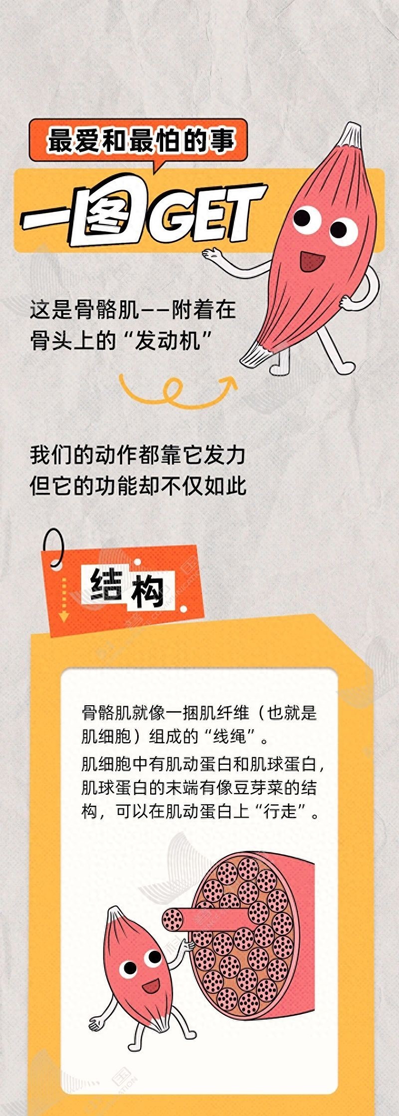 的人都忽略, div, img