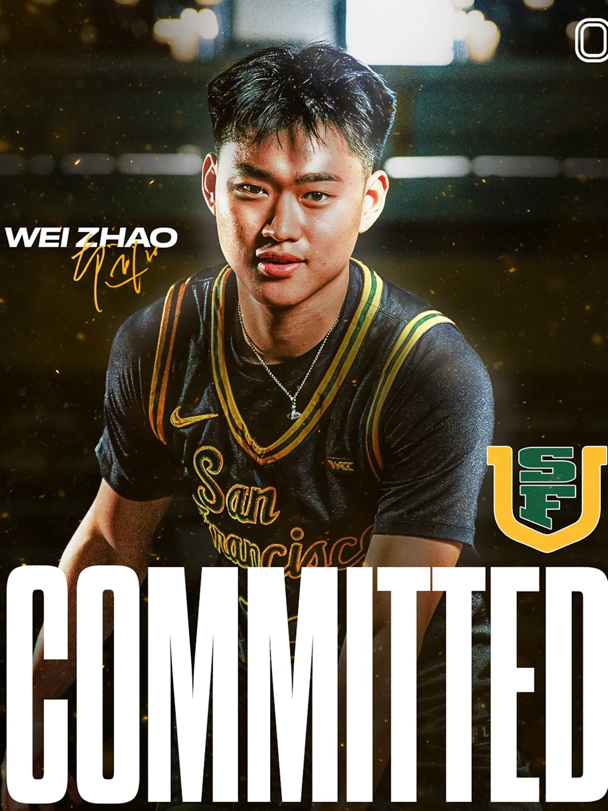 img, cn, 维度 img, cn, 维度