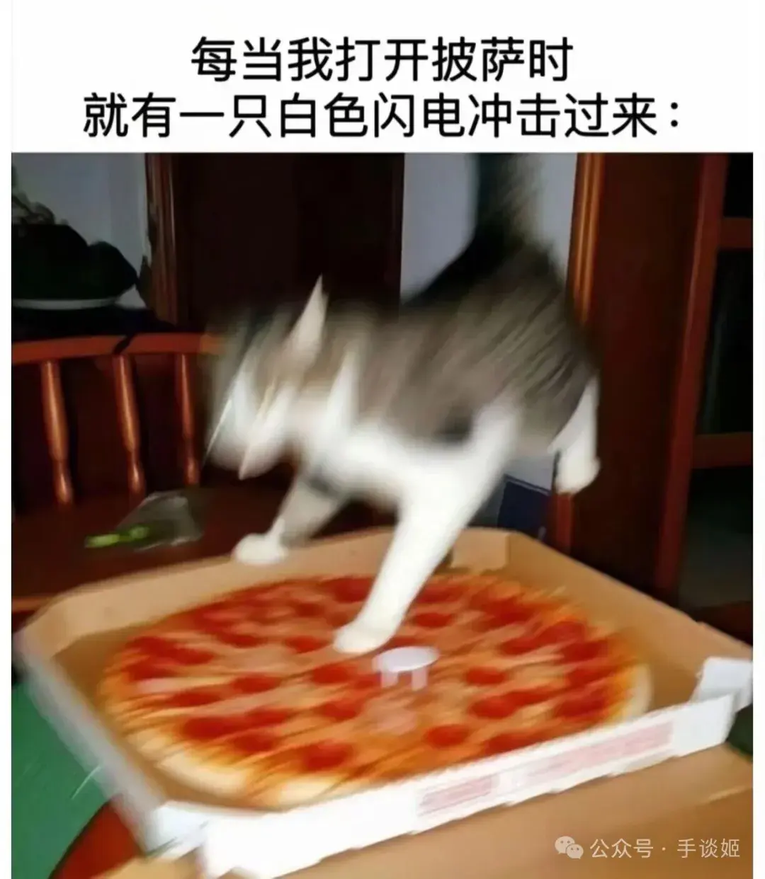 希望下次他 希望下次他