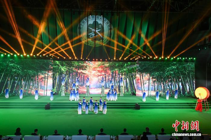 AizPD, 国际武联形, 刘忠俊